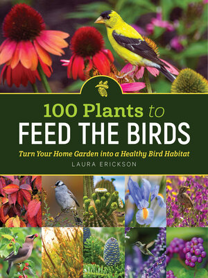cover image of 100 Plants to Feed the Birds